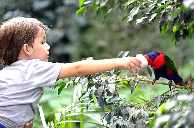 Top 10 activities with children in Roses. Costa Brava